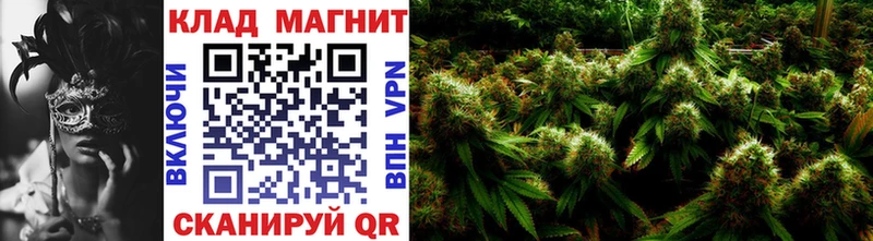 Наркота Высоковск Конопля Галлюциногенные грибы ГАШ АМФ