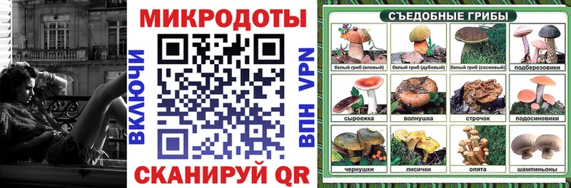 купить наркоту  Высоковск  Галлюциногенные грибы мухоморы 
